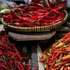 Inflasi September 2026 Capai 0,30 Persen, Harga Cabai dan Daging Ayam Jadi Pemicu
