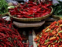 Inflasi September 2026 Capai 0,30 Persen, Harga Cabai dan Daging Ayam Jadi Pemicu