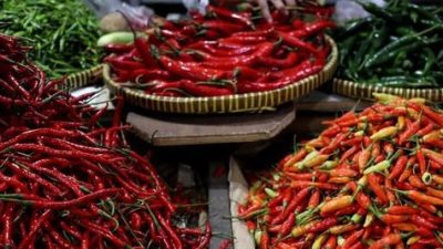 Harga Cabai